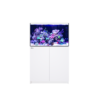 Reefer 300 G3